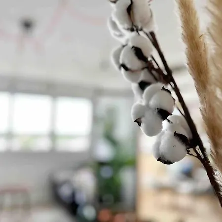 Le Bahia Apartamento *