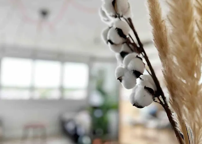 Le Bahia Appartement *